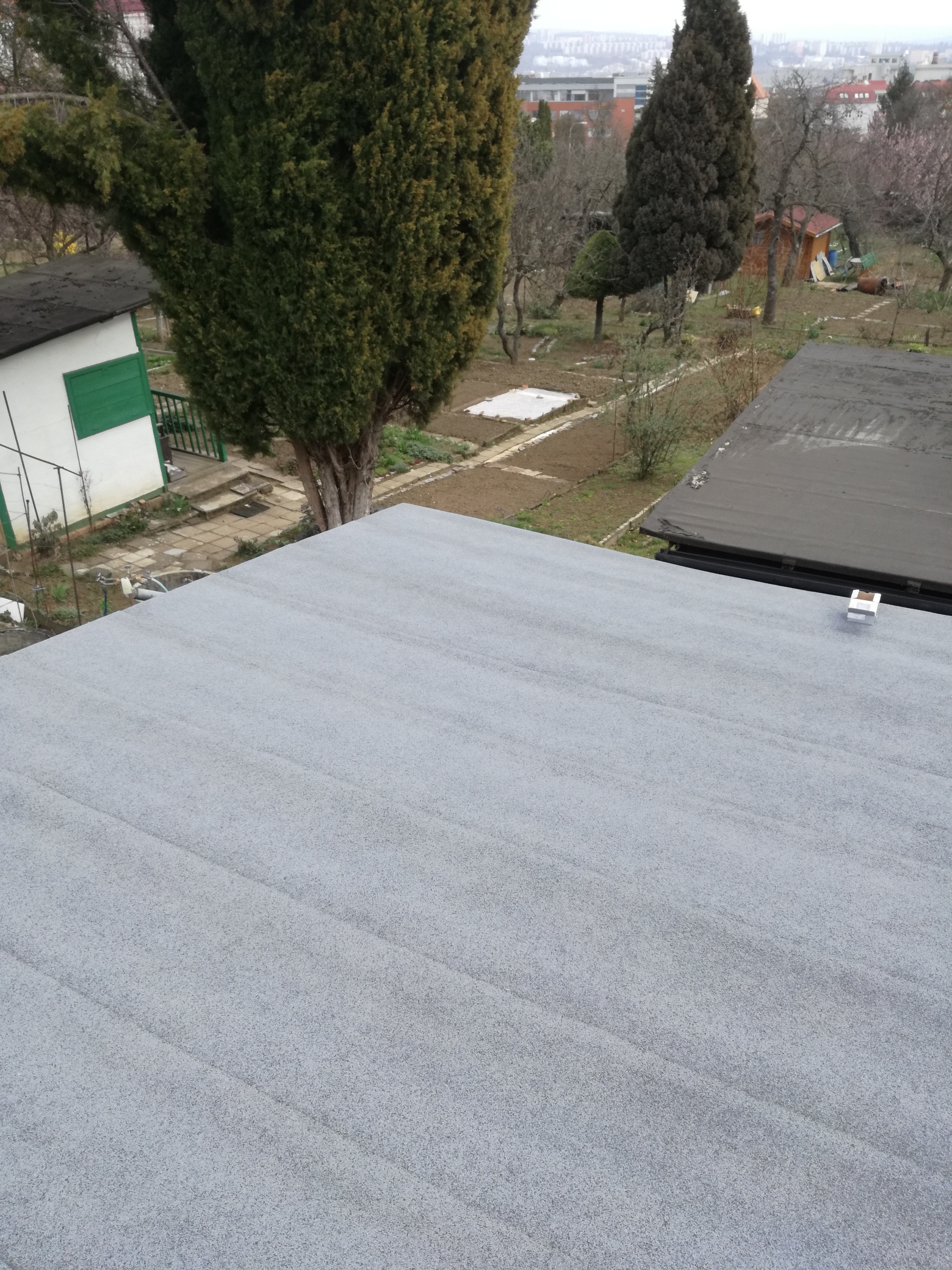 IMG_20190328_100059_resized_20190418_063109541